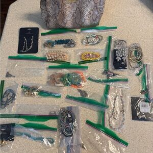 50+ jewelry bundle and cosmetic case